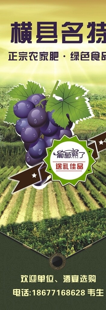 葡萄設(shè)計(jì)圖片