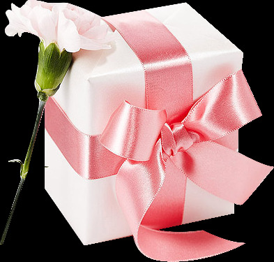 粉色花朵情人节礼物元素