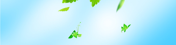 化妝品banner