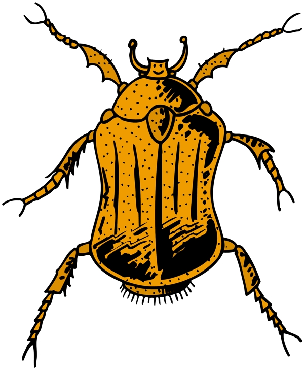 甲虫昆虫矢量素材EPS格式0111