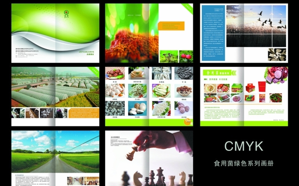 绿色食用菌公司画册图片