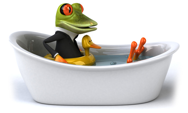 坐在鸭子里的青蛙图片