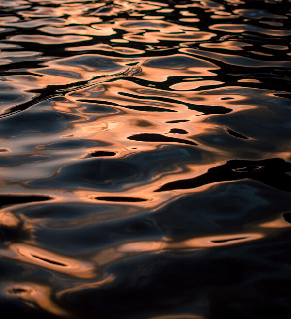 反射阳光的波纹水面背景