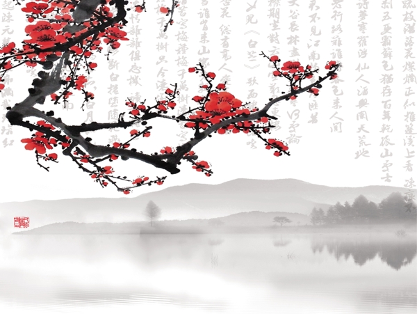 梅花圖片