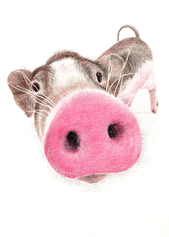 位圖插畫時尚插畫動物插畫藝術效果免費素材