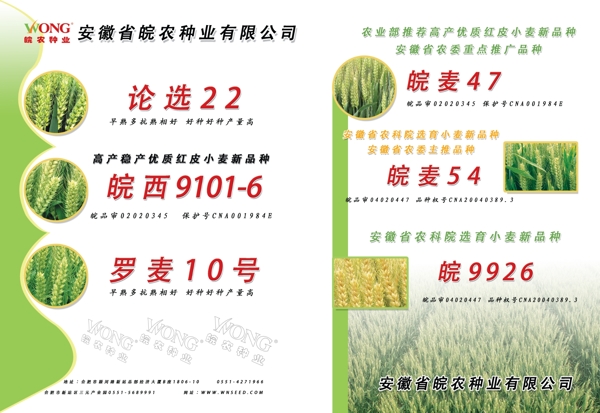 種子公司宣傳冊(cè)圖片