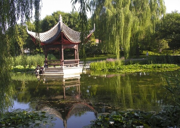 陶然亭之夏圖片