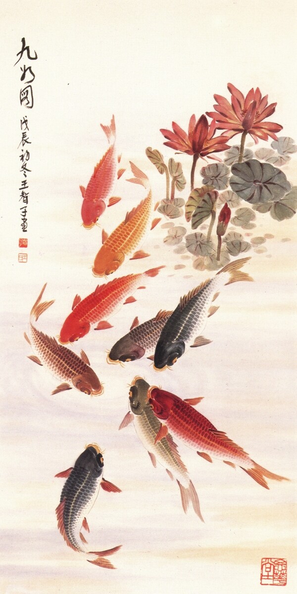 九魚圖圖片