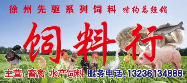 飼料圖片