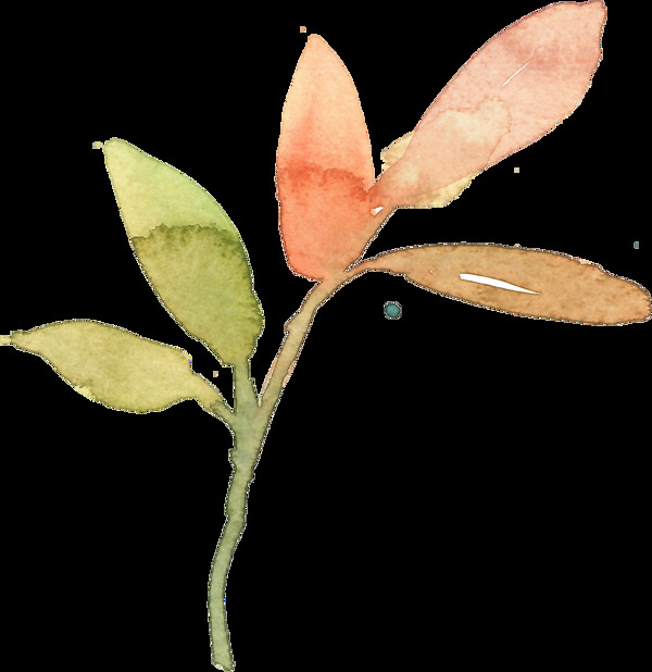 水墨植物透明素材