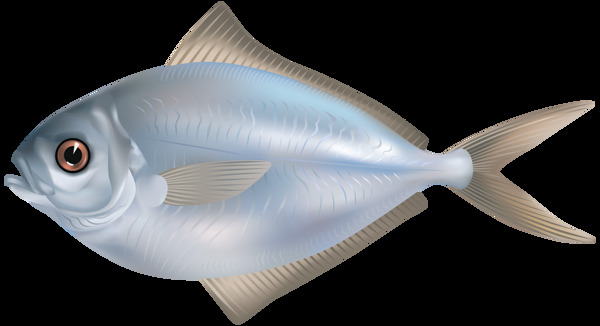 手绘蓝色鱼类图片免抠png透明图层素材
