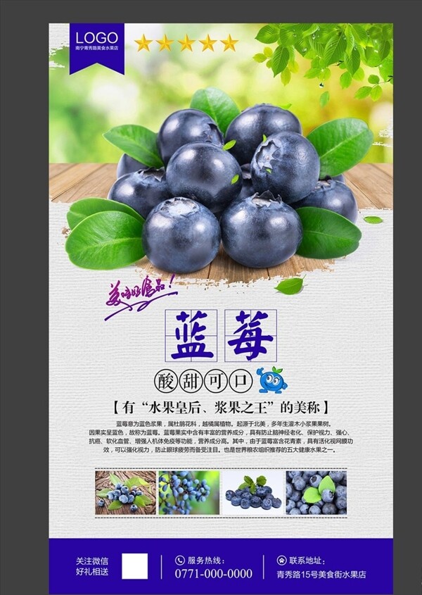 蓝莓展板蓝莓海报