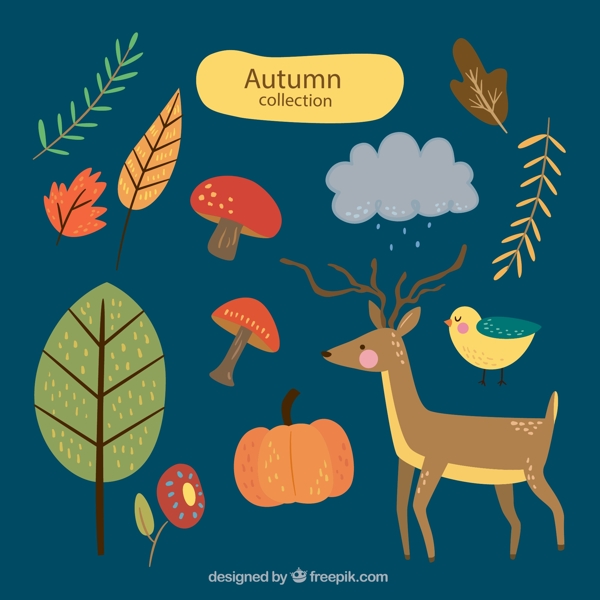 秋季动植物矢量图片