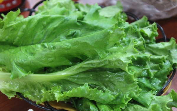 生菜圖片