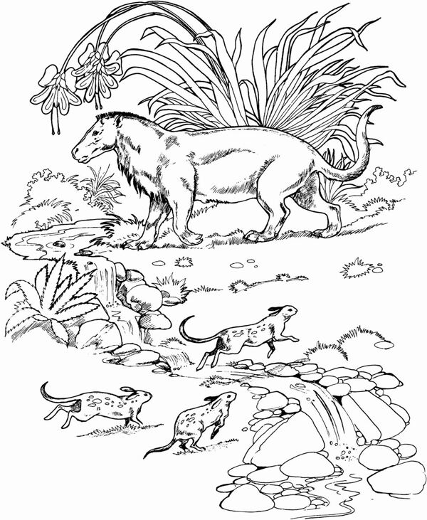 手繪動物畫動物素描