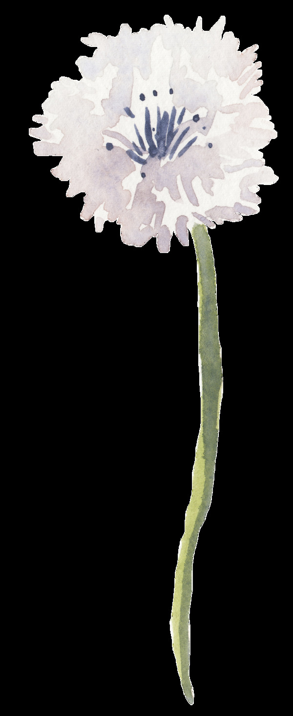 燦白花束透明裝飾素材