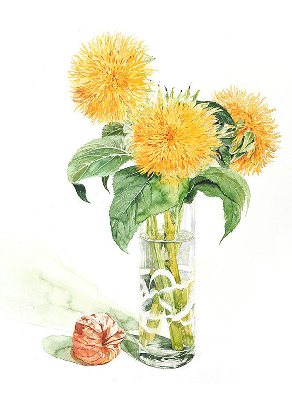 位圖植物插畫(huà)植物插畫(huà)師柘植彩子藝術(shù)效果免費(fèi)素材