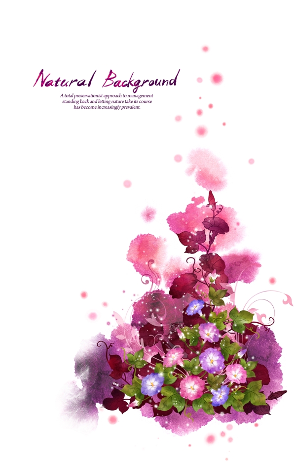 紫色牵牛花装饰背景图设计图片