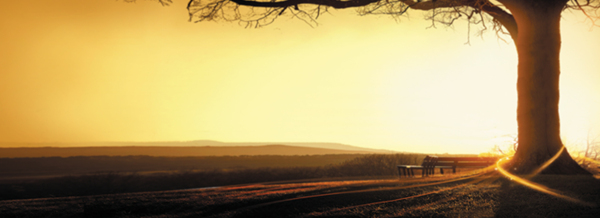 大氣簡潔banner