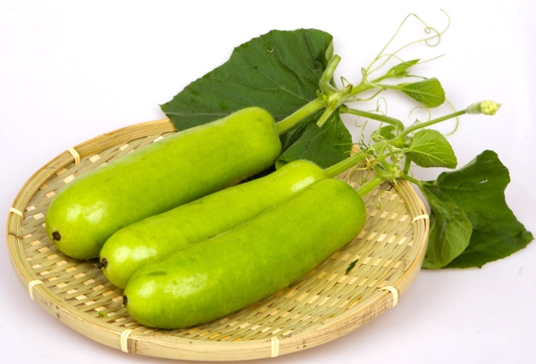 新鮮蔬菜圖片