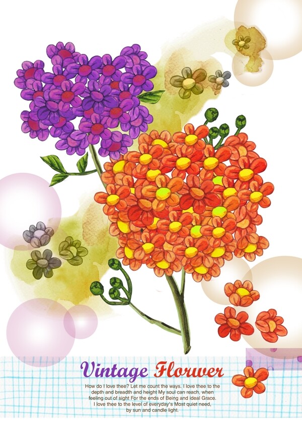 美麗的紅色和紫色小花