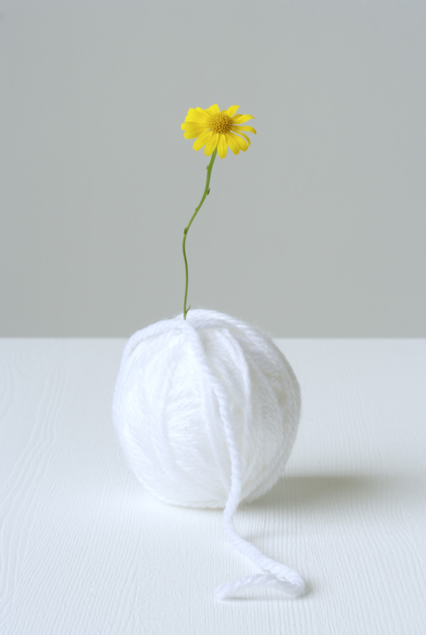 毛線團(tuán)和花