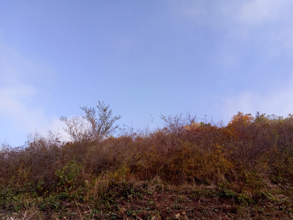 山