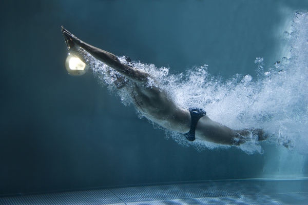 潜水的游泳运动员图片