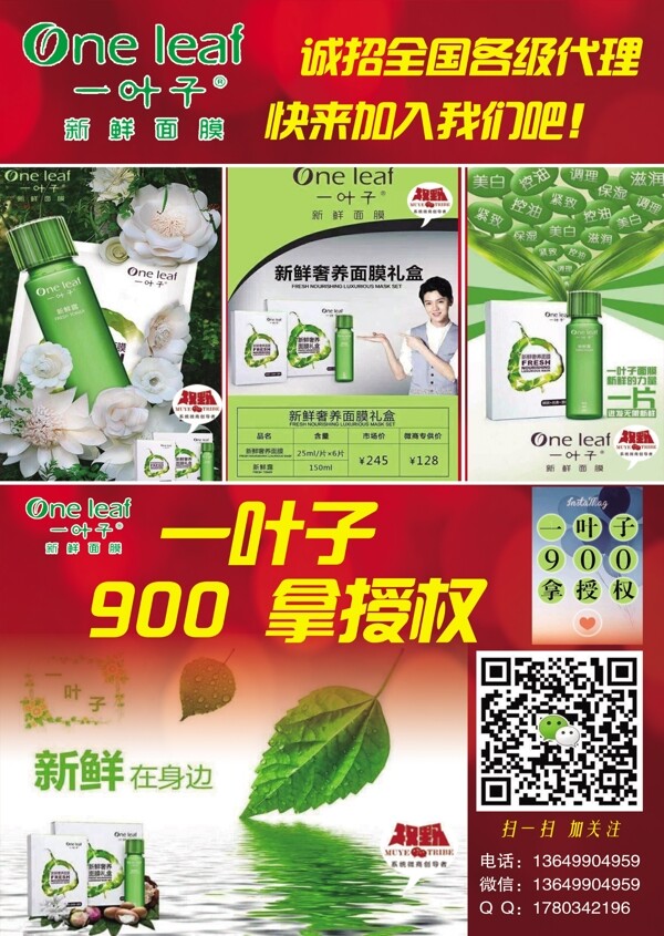 韓束一葉子圖片