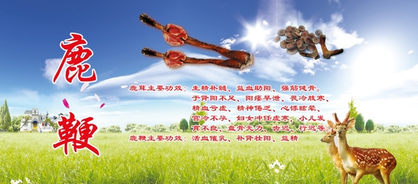 鹿鞭