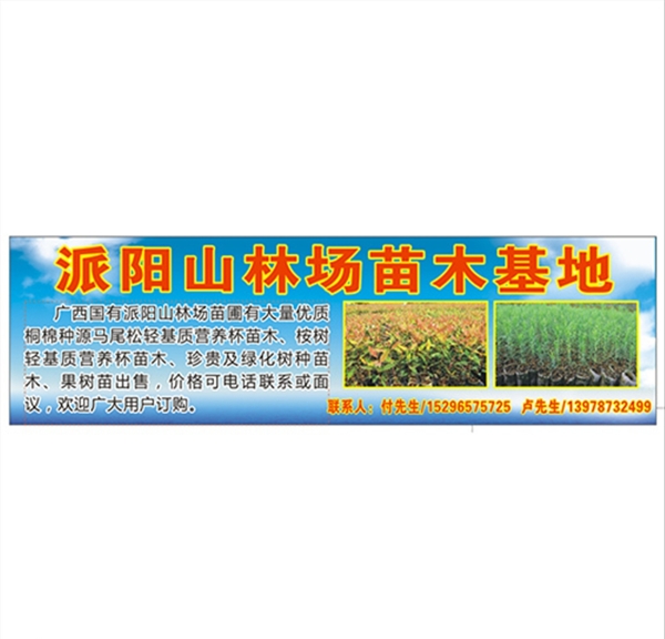 山林苗木