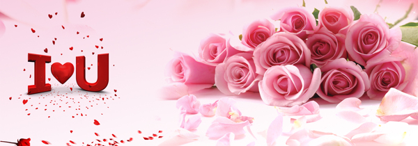 愛情粉色玫瑰花瓣背景banner