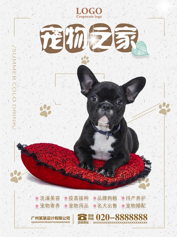 2018年简约米黄色宠物促销海报