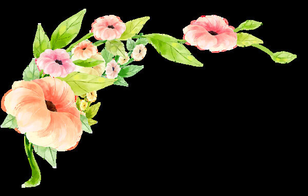 粉色花朵花藤png元素素材