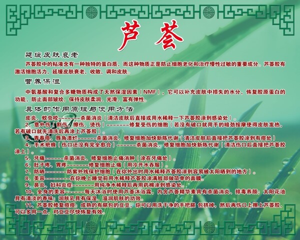 中草藥
