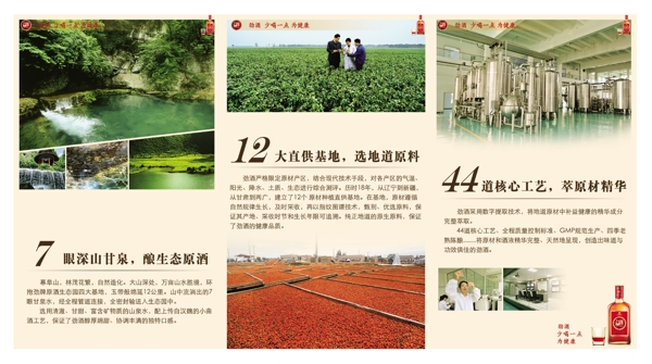 酒宣傳折頁(yè)圖片
