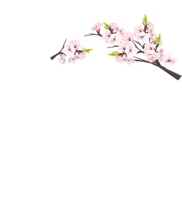矢量桃花圖片