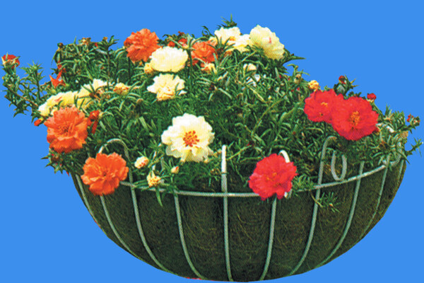 花缽170小品素材