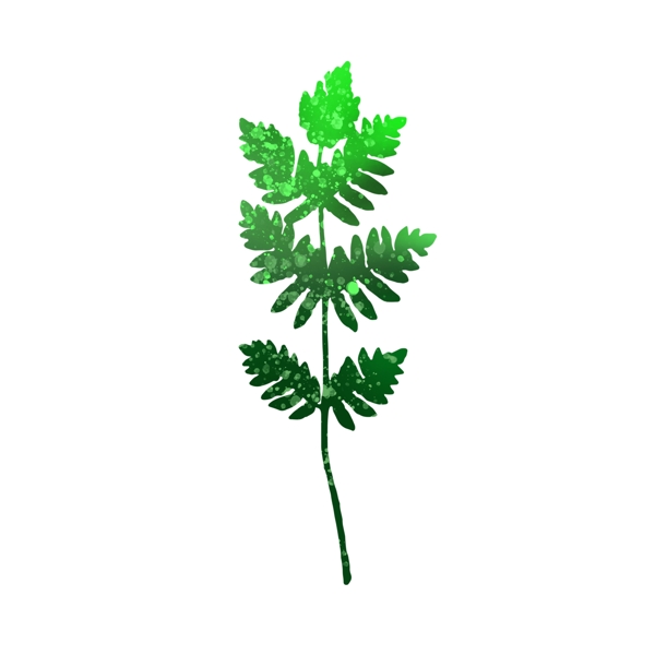 绿色蕨类植物叶子可商用元素