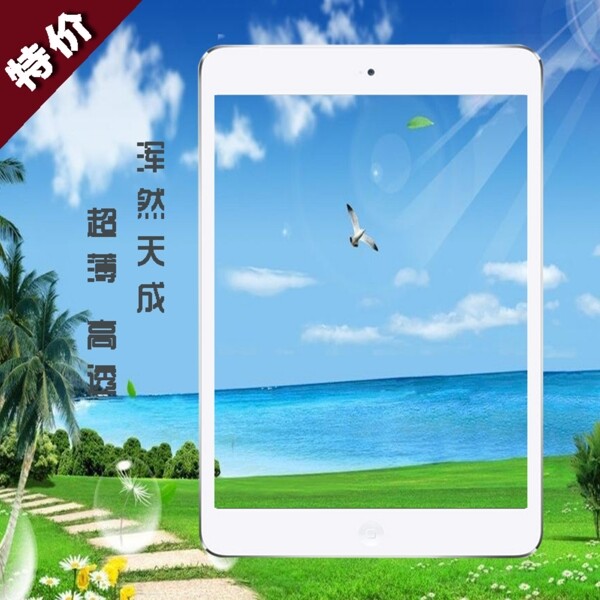 ipadmini2淘寶主圖直通車圖