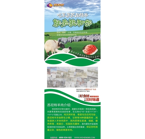 火鍋草原羊展架圖片