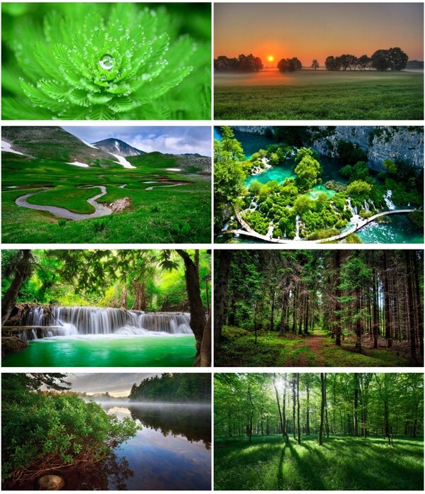 綠色植物風(fēng)景