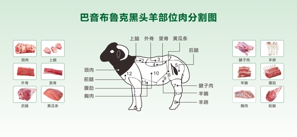 羊肉分割图