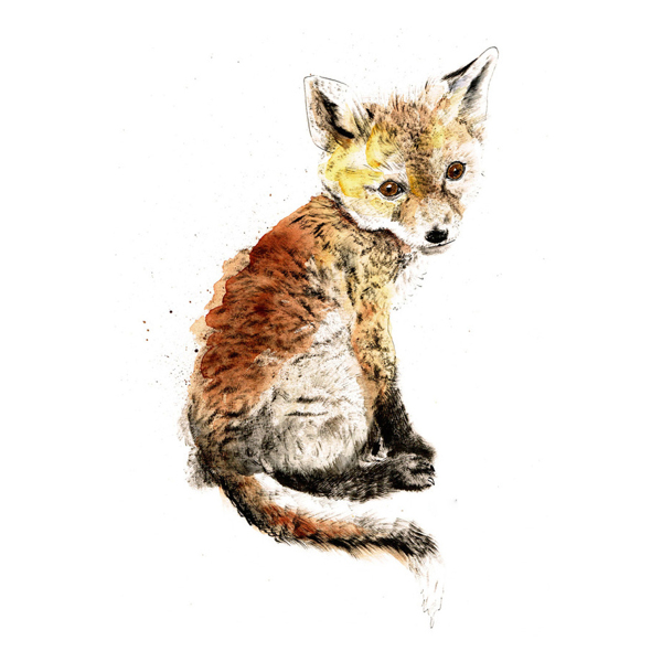 位圖插畫(huà)動(dòng)物插畫(huà)藝術(shù)效果手繪免費(fèi)素材
