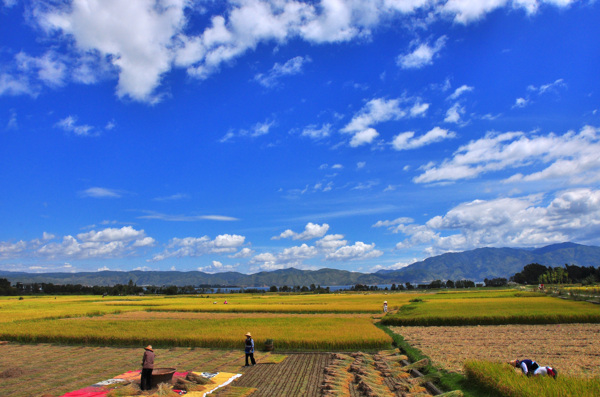 田園風(fēng)光圖片