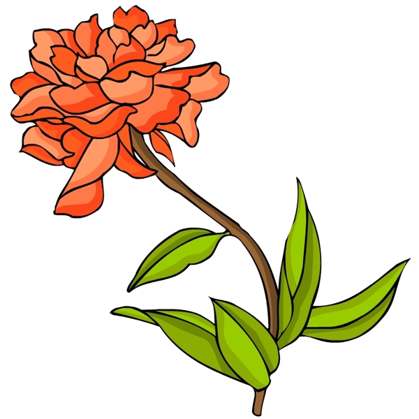 花卉古典插畫