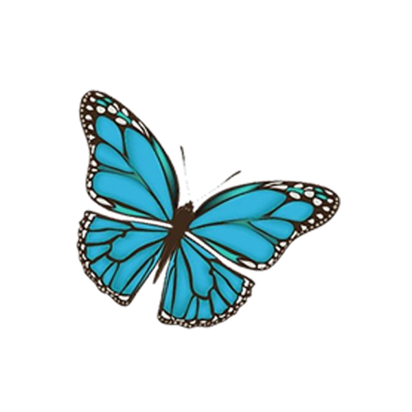 卡通漂亮的蝴蝶免抠图