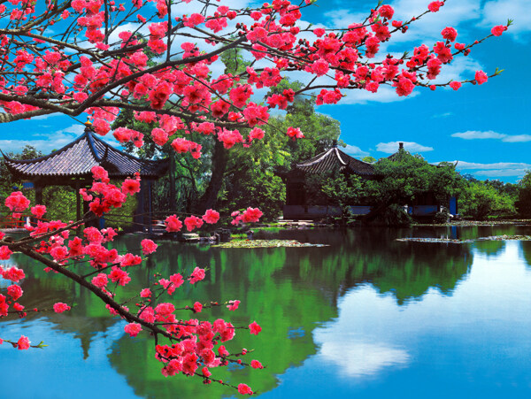 田園風(fēng)光圖片