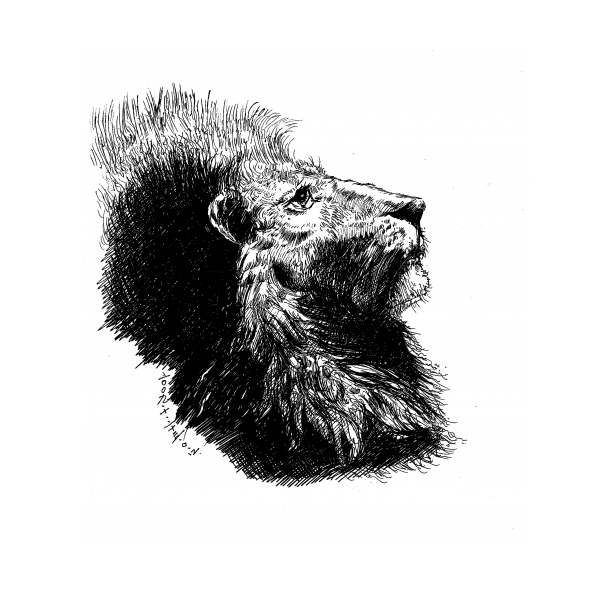 位圖插畫時(shí)尚插畫動(dòng)物插畫藝術(shù)效果免費(fèi)素材