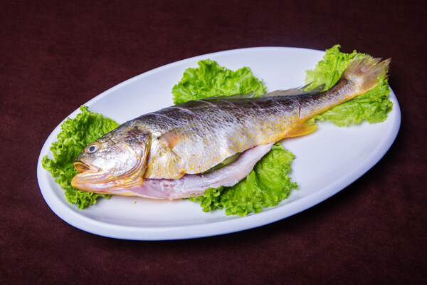 黃花魚